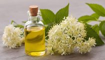 Ulje za lice i tijelo - BAZGA 150 ml