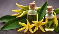 Ulje za lice i tijelo - YLANG-YLANG 150 ml